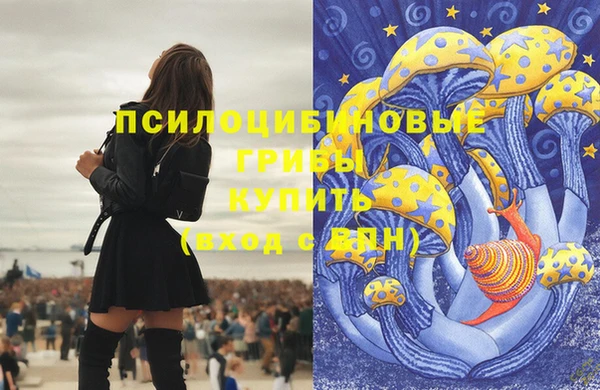 мяу мяу мука Алексеевка